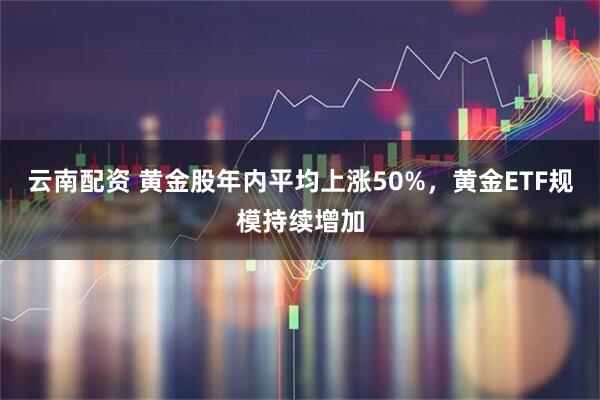 云南配资 黄金股年内平均上涨50%，黄金ETF规模持续增加